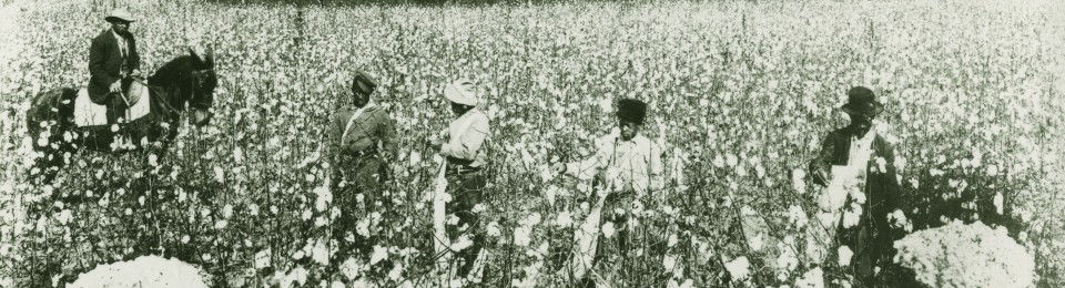 West Tennessee Historical Society