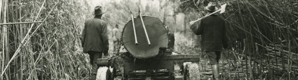 West Tennessee Historical Society