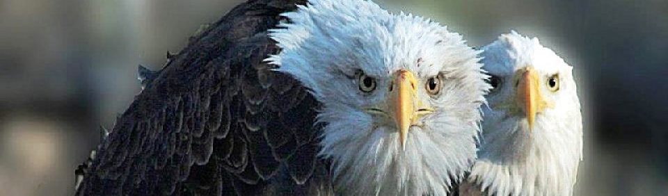 West Tennessee Historical Society